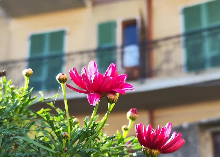 Casa Agello 民宿 *